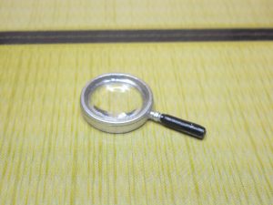 畳に虫が発生！その原因とおもな虫の種類、予防法を解説